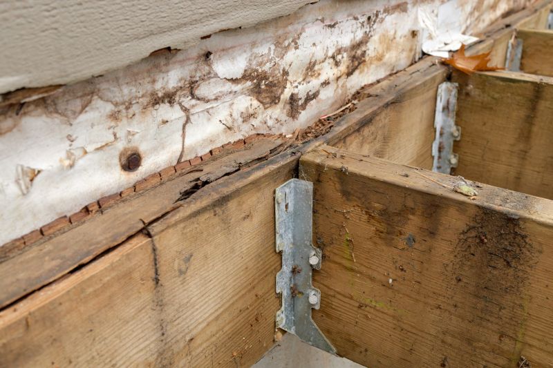 Wood Rot Repair Solutions For Outdoor Structures