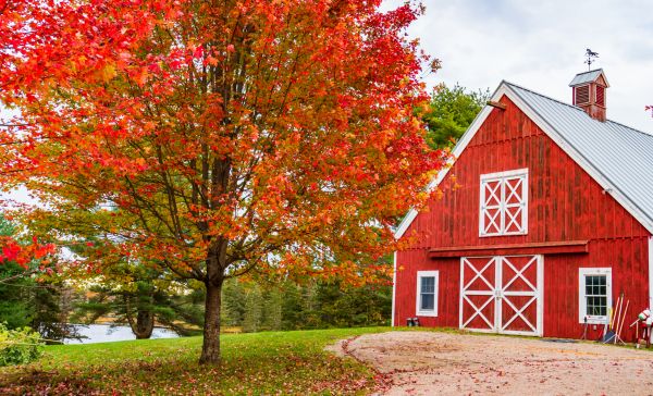 Barn Repair